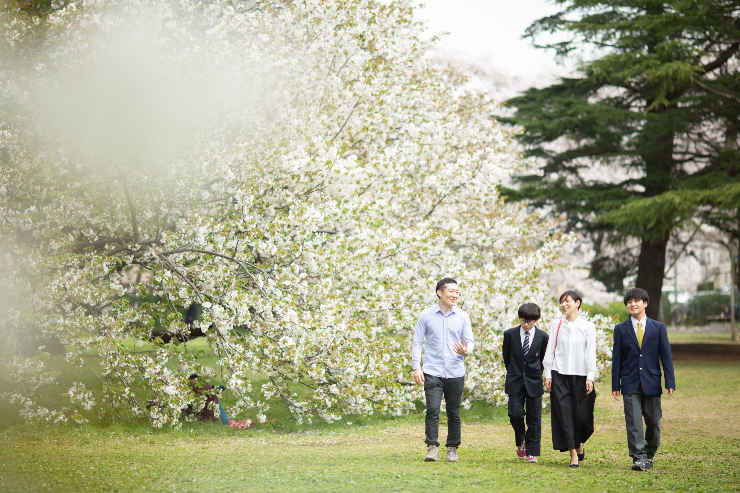 桜と歩く記念写真-M4