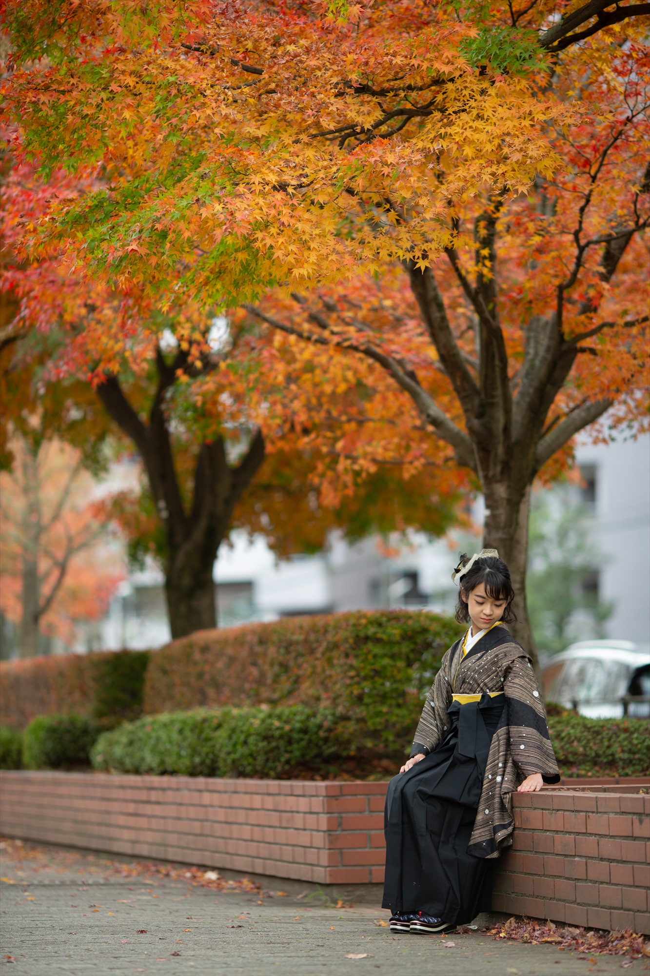 秋の卒業袴前撮り-M18