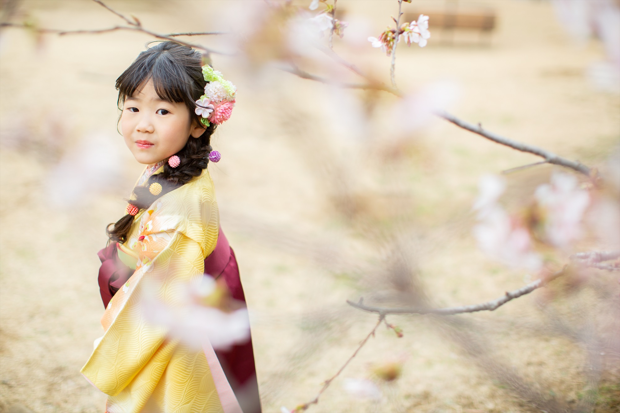 神社と早咲きの桜で卒園を祝う-M13