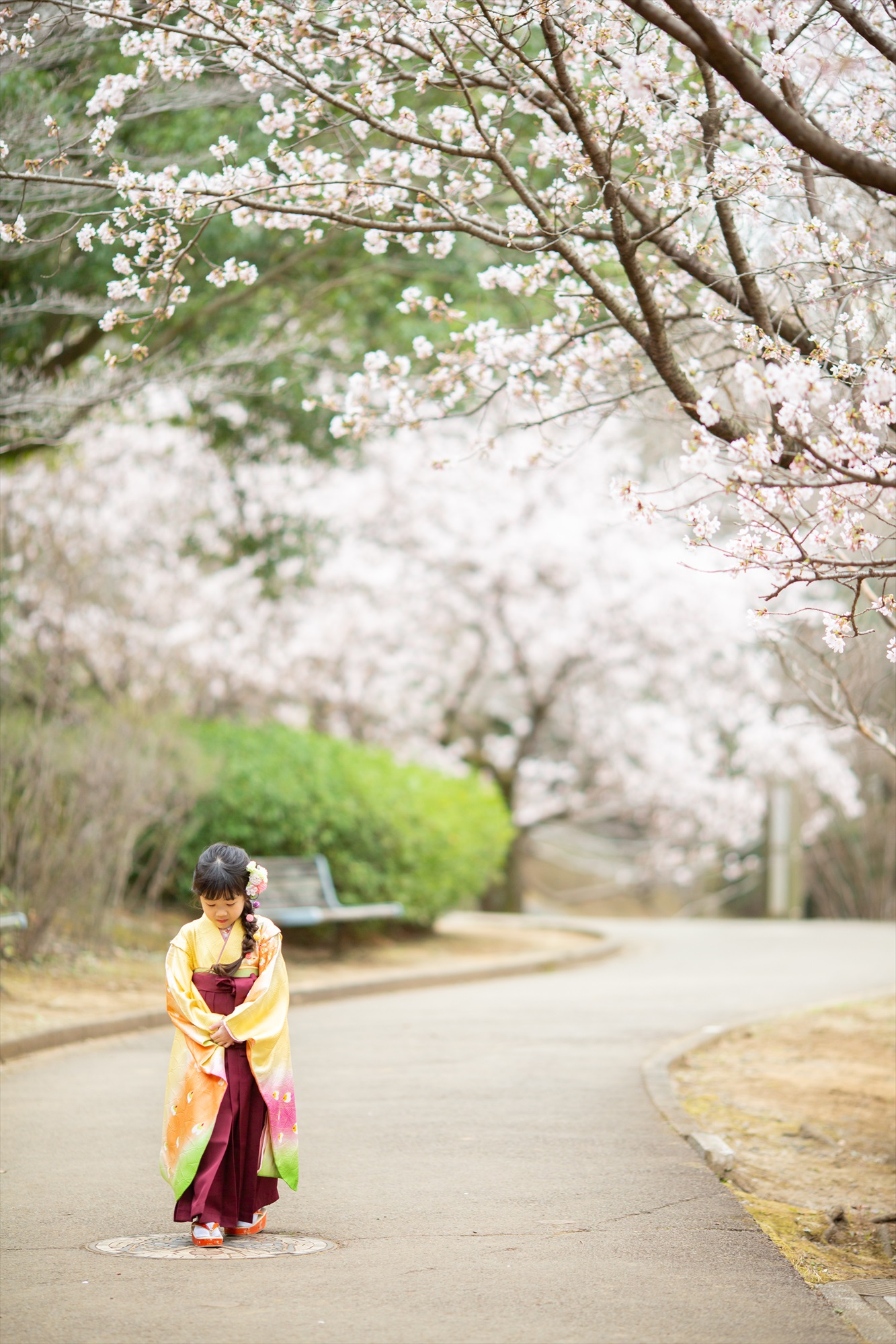 神社と早咲きの桜で卒園を祝う-M14