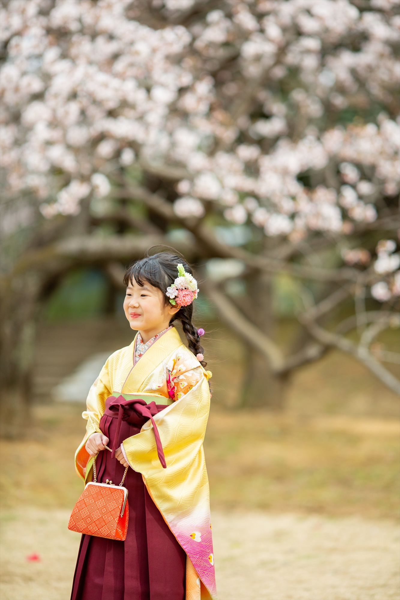 神社と早咲きの桜で卒園を祝う-M11