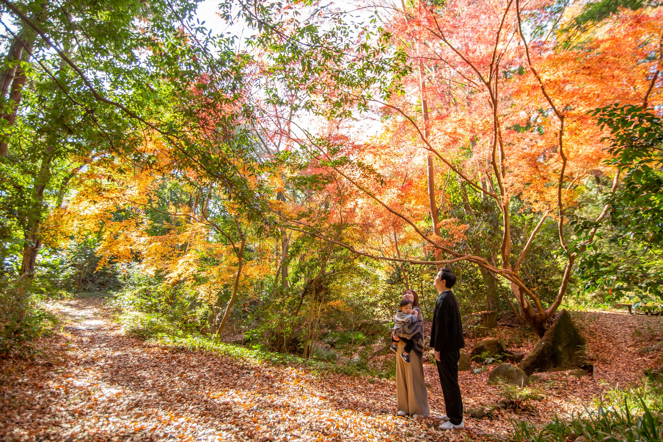 紅葉とともに祝う１歳バースデー-L1