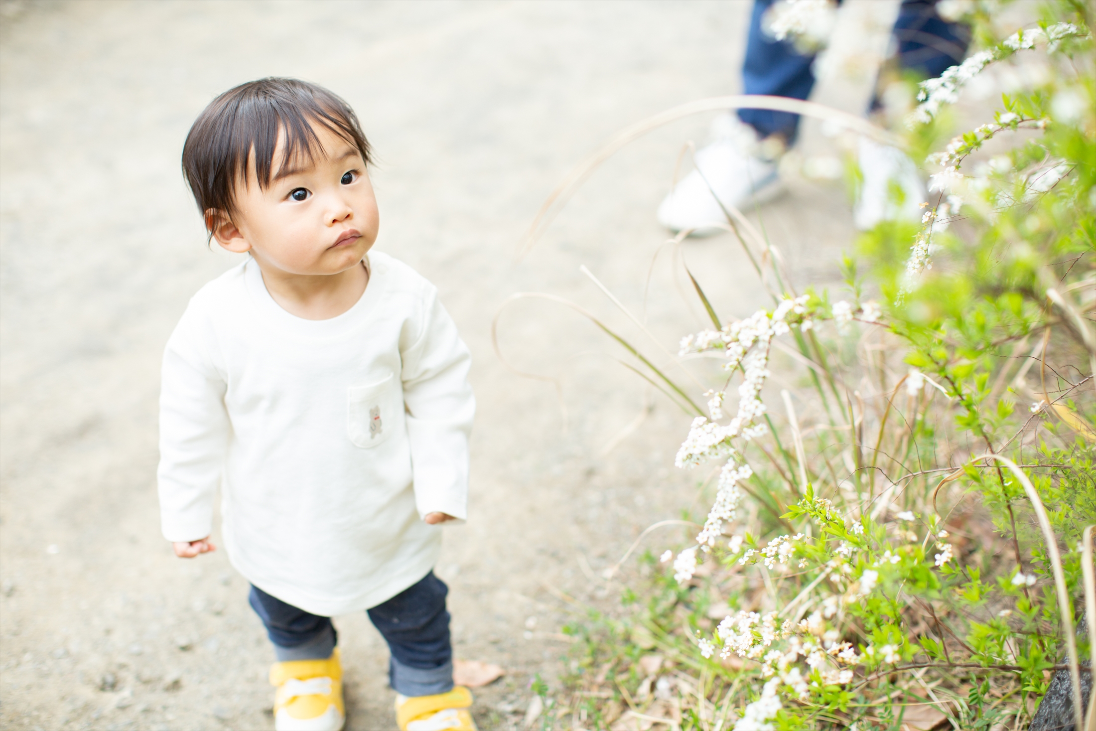 小さい少年の大冒険-M3