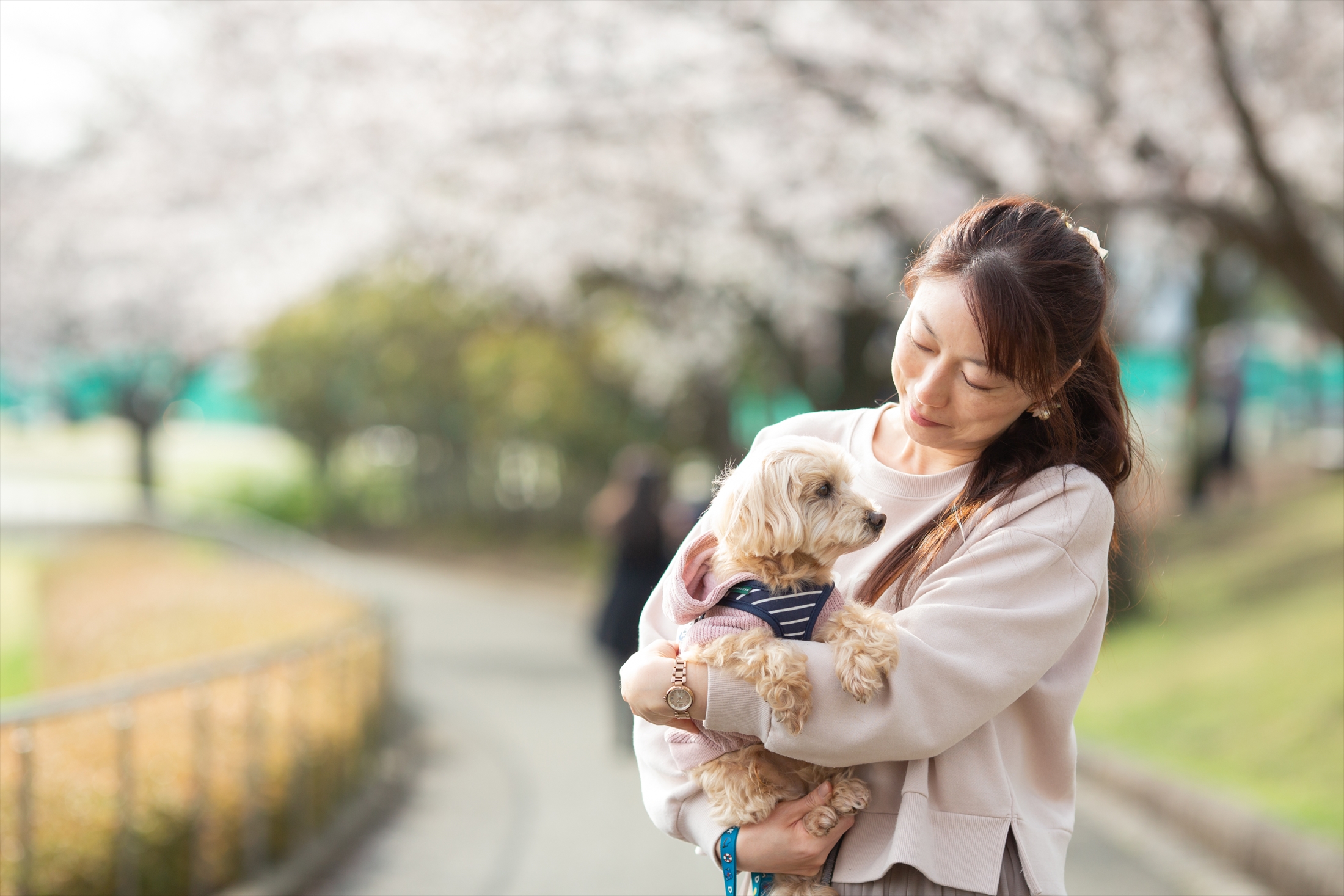 桜の季節に君を想う-M6