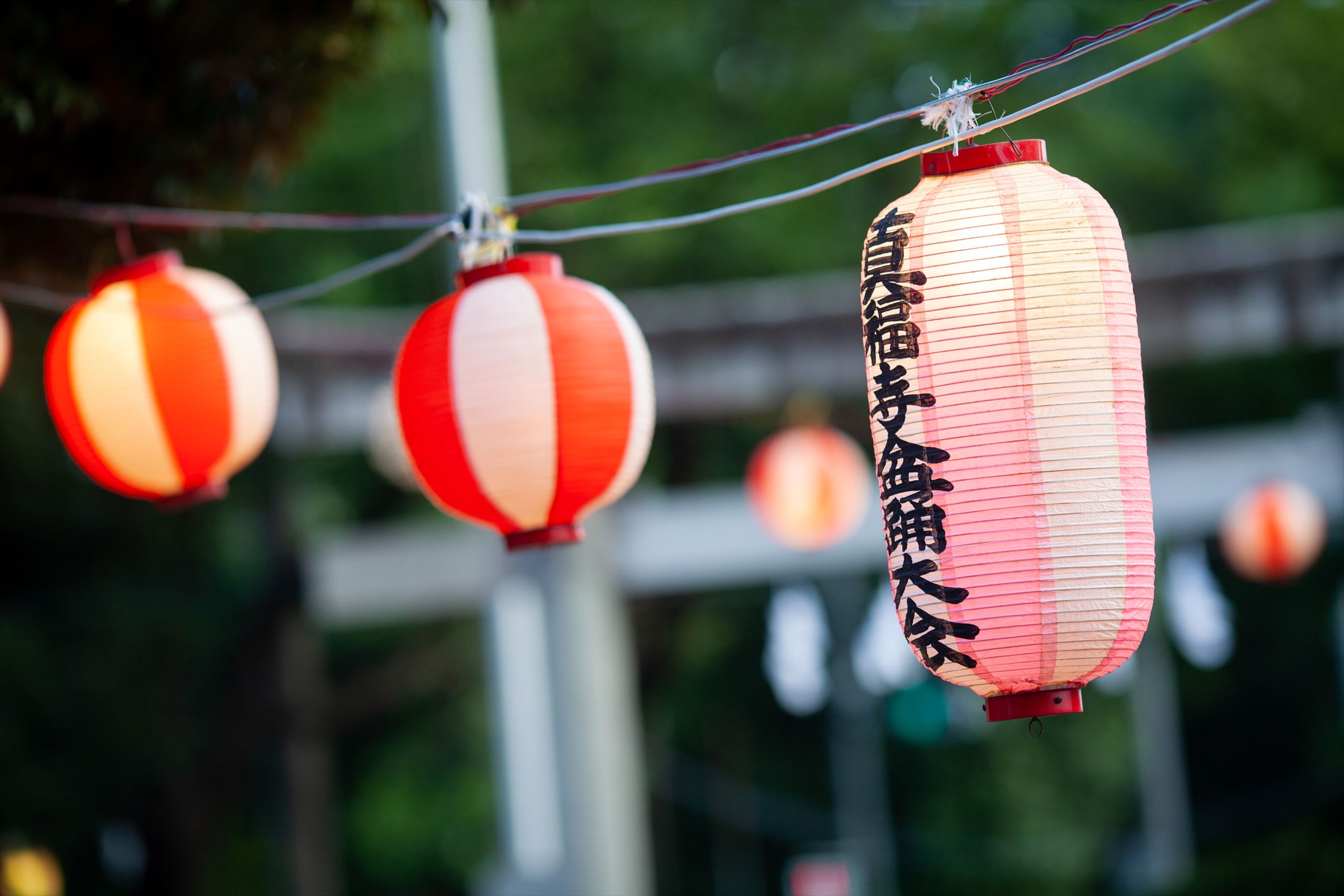 真福寺町内会盆踊り大会に1日密着-M6