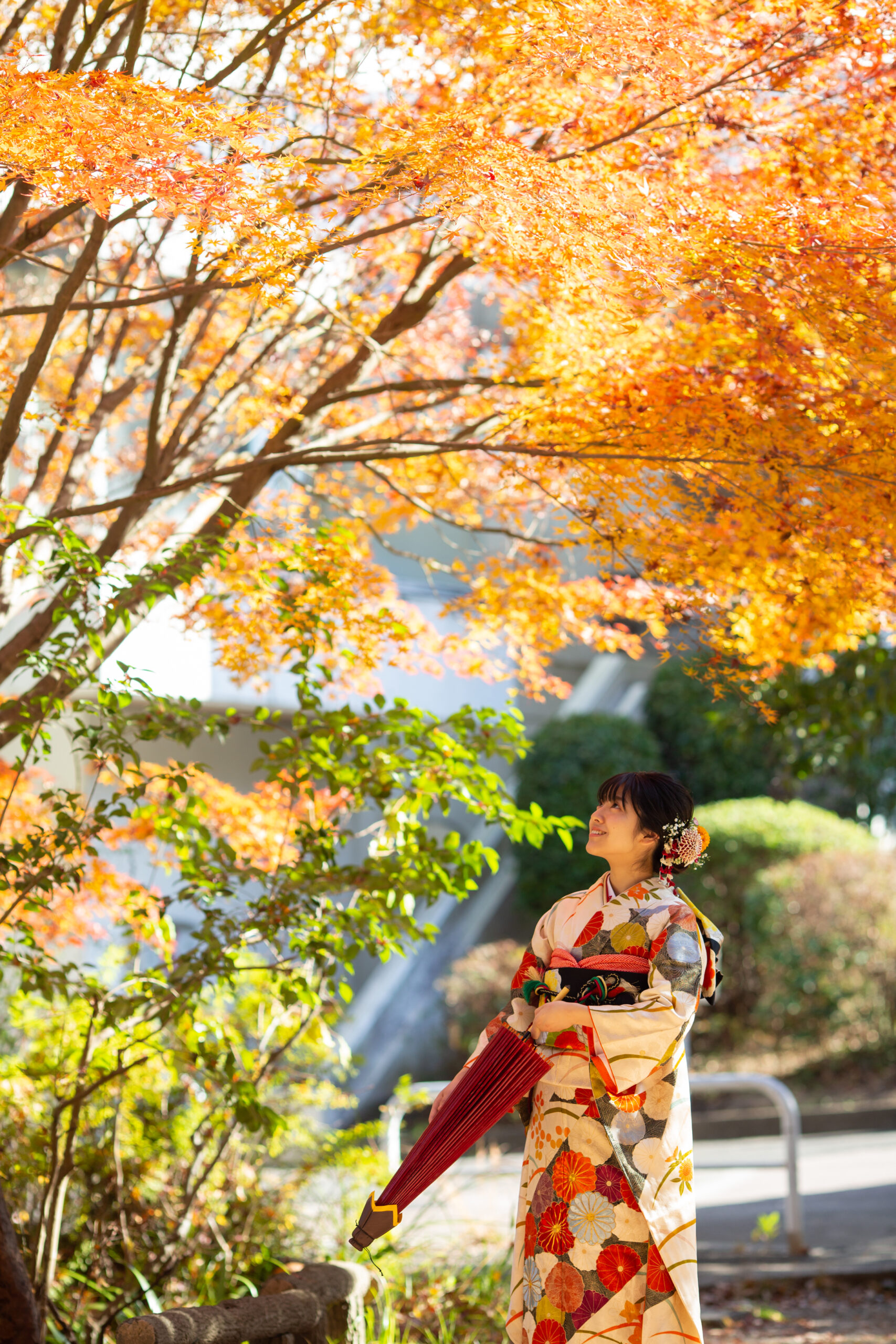 紅葉と冬の光　成人式振袖撮影-M12