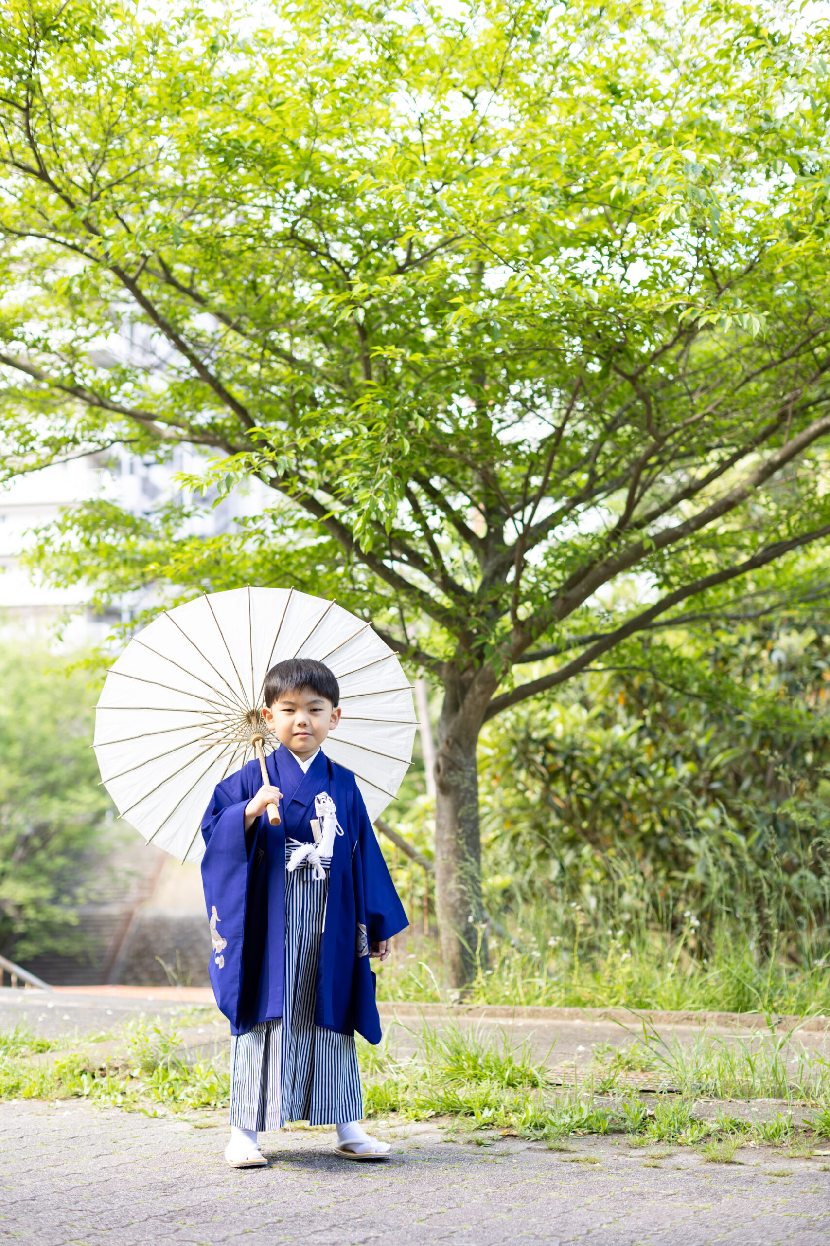 お兄ちゃんも着物を着て、華やかな三兄妹七五三-M2