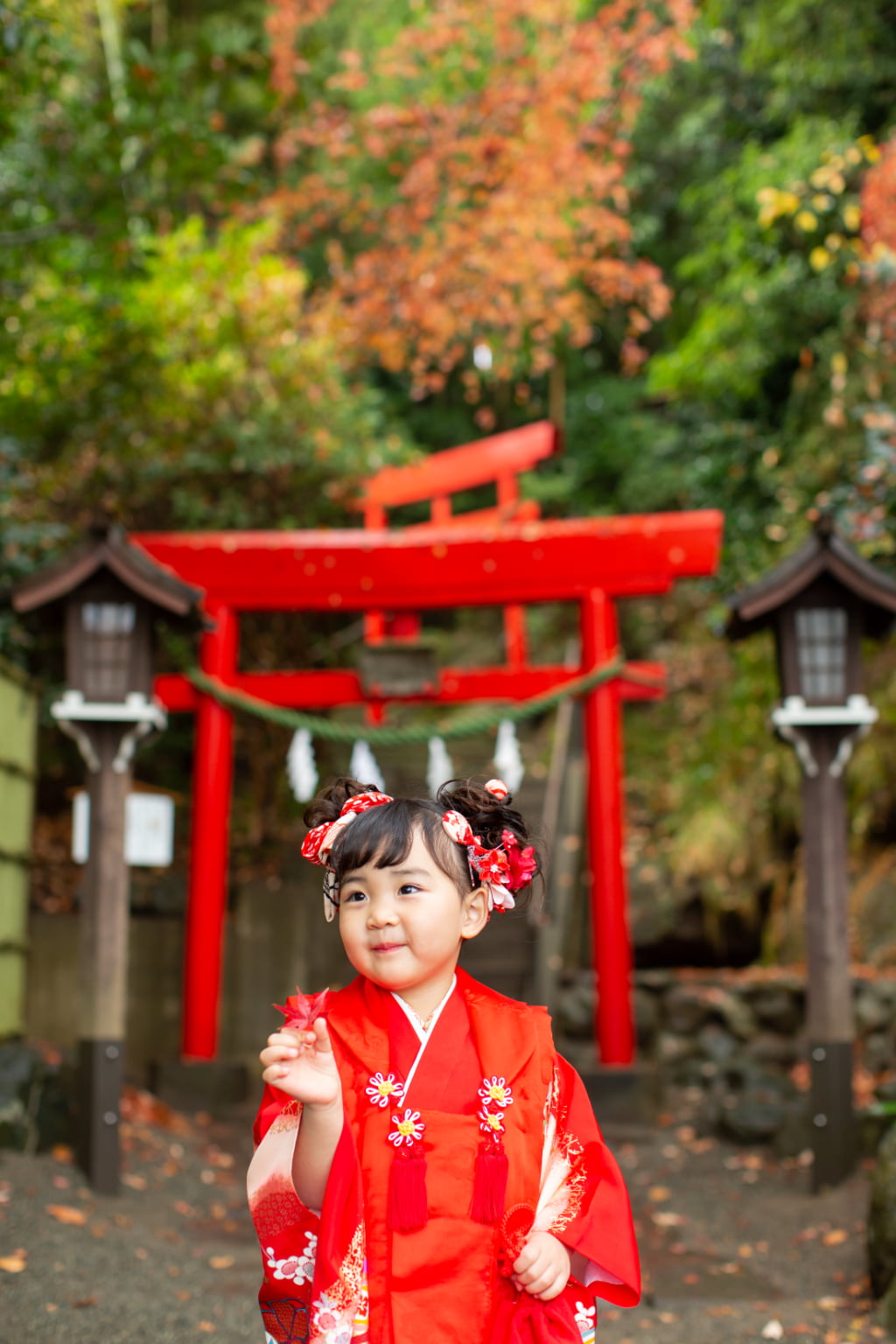 琴平神社の紅葉と七五三-L1