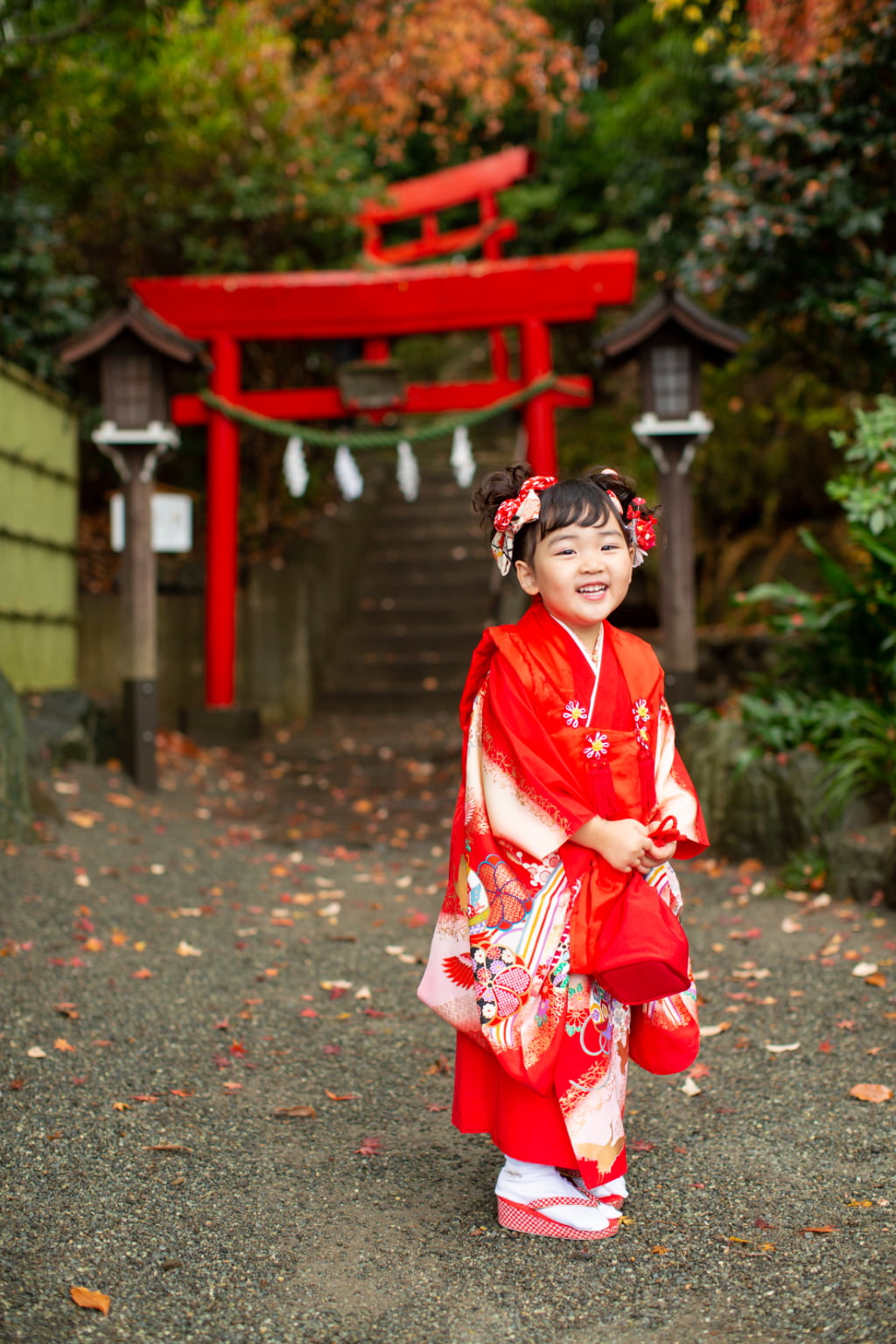 琴平神社の紅葉と七五三-M7